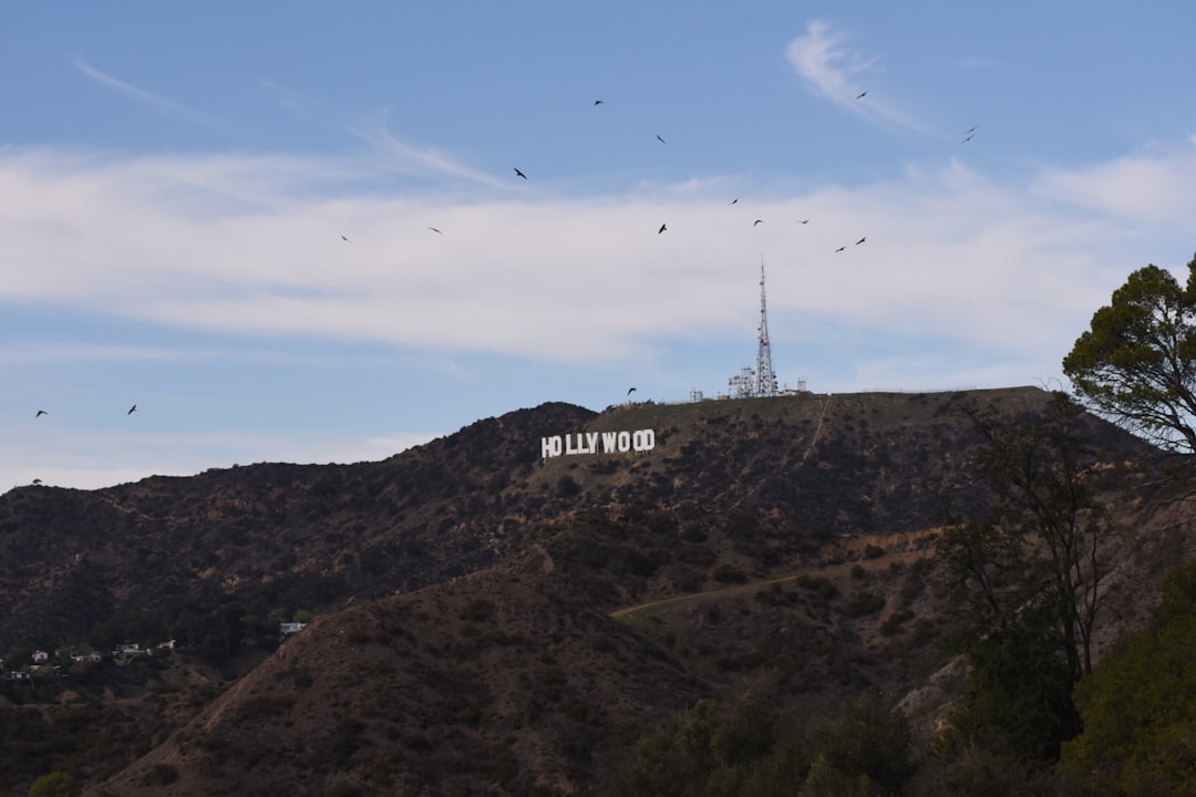 Как называется фильм в котором нельзя произносить ни звука?